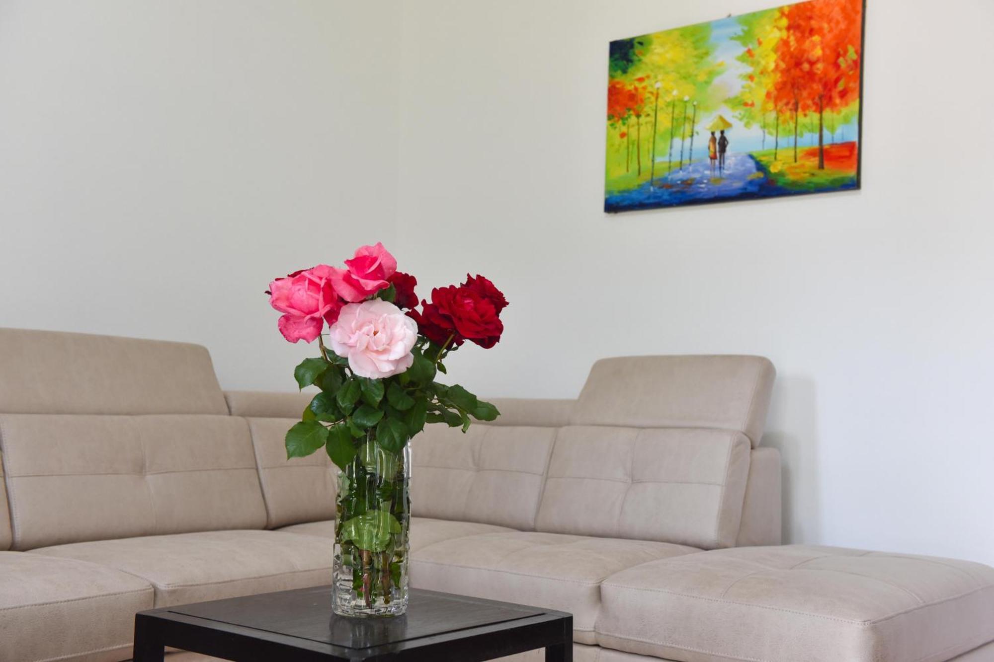 Apartmani Mihovic - Jaz Budva Ngoại thất bức ảnh
